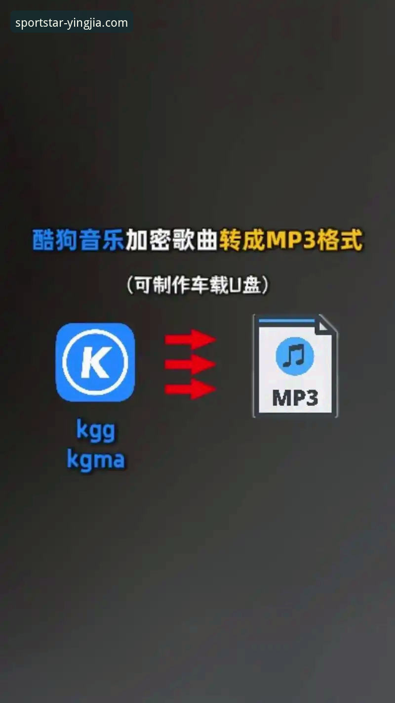 盈嘉体育APP评测 盈嘉体育APP评测与安装操作教程:从下载到使用的完整技术指南
